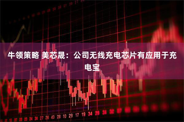 牛领策略 美芯晟：公司无线充电芯片有应用于充电宝