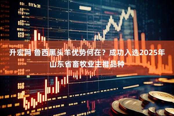 升宏网 鲁西黑头羊优势何在？成功入选2025年山东省畜牧业主推品种