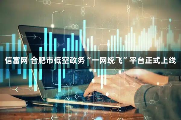 信富网 合肥市低空政务“一网统飞”平台正式上线
