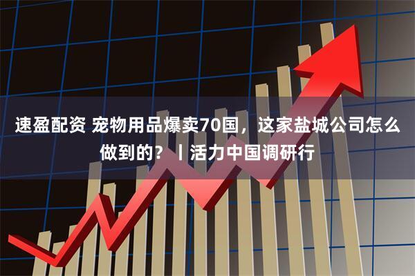 速盈配资 宠物用品爆卖70国，这家盐城公司怎么做到的？丨活力中国调研行