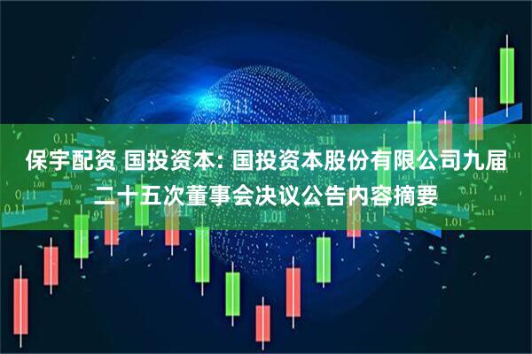 保宇配资 国投资本: 国投资本股份有限公司九届二十五次董事会决议公告内容摘要