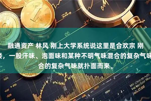 融通资产 林风 刚上大学系统说这里是合欢宗 刚一踏入寝室楼，一股汗味、泡面味和某种不明气味混合的复杂气味就扑面而来。