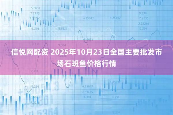信悦网配资 2025年10月23日全国主要批发市场石斑鱼价格行情