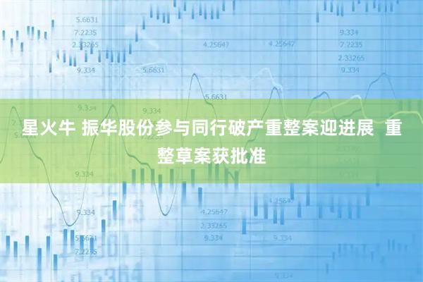 星火牛 振华股份参与同行破产重整案迎进展  重整草案获批准